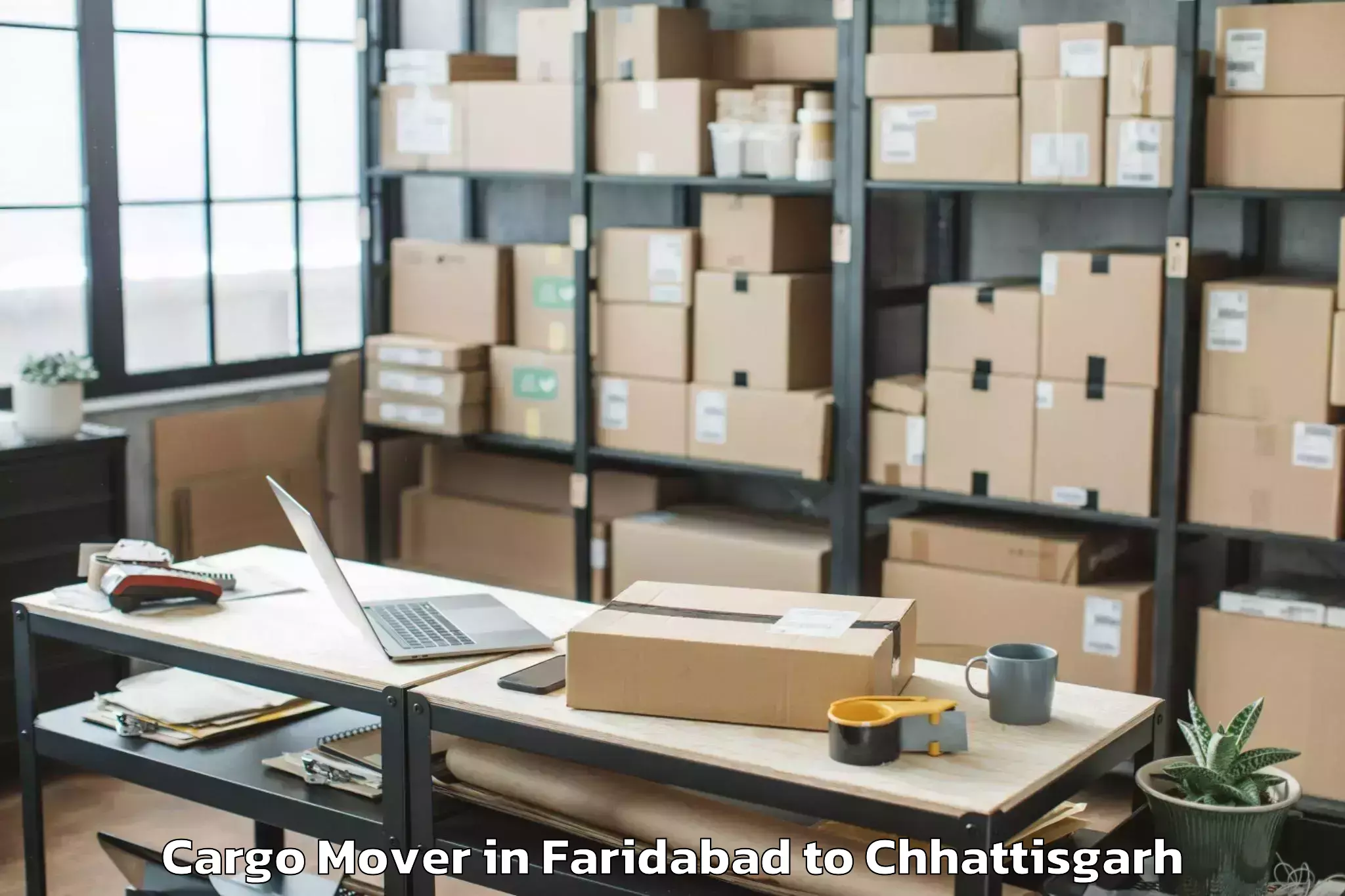 Professional Faridabad to Op Jindal University Raigarh Cargo Mover